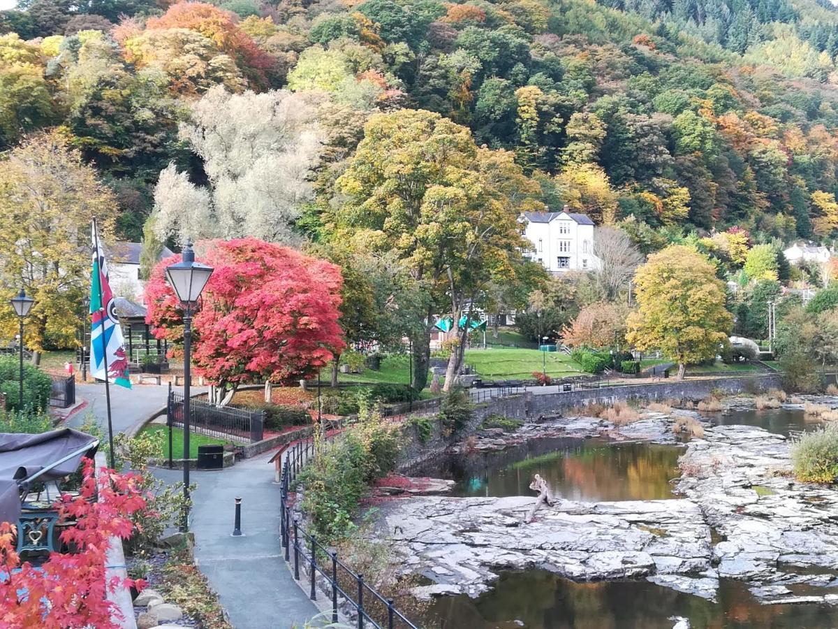 The Holt * Llangollen
